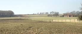 BREESCARP.JPG (4598 bytes)