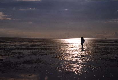 Terschelling