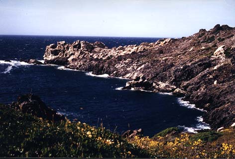 Cap de Creus