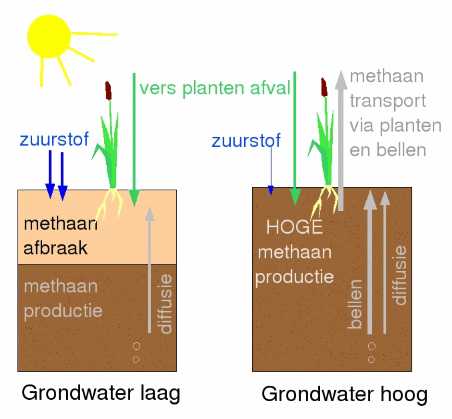 methaanproductie