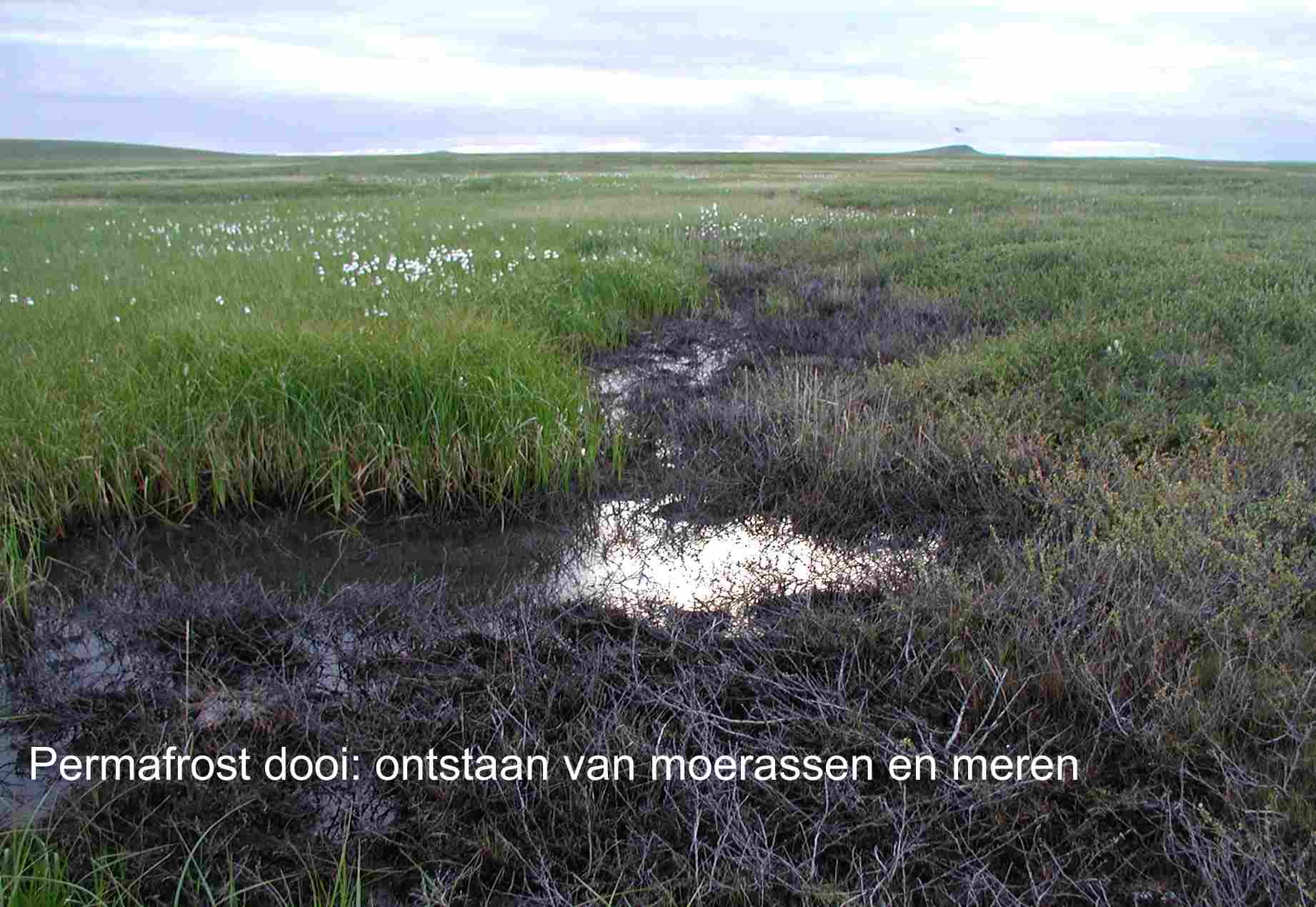 dooiende permafrost