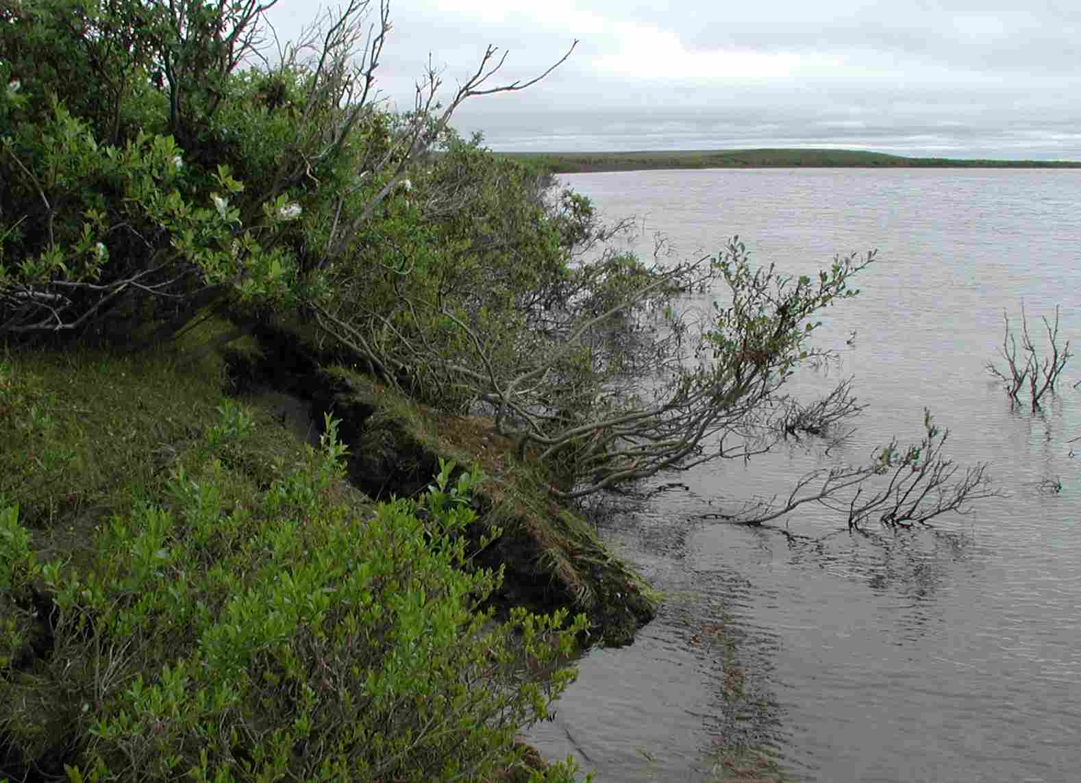 thermokarst