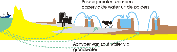 zoute kwel