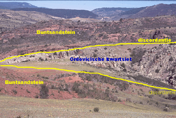 disco-paleorelief-2bewerkt.GIF (174705 bytes)