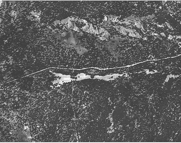 lufo2.gif (324789 bytes)