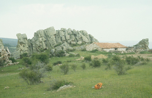 kwartsiet1.jpg (193140 bytes)