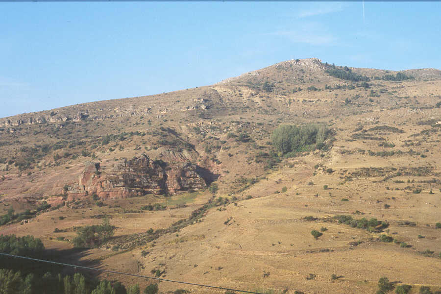 mesozoic87b.jpg (1641654 bytes)