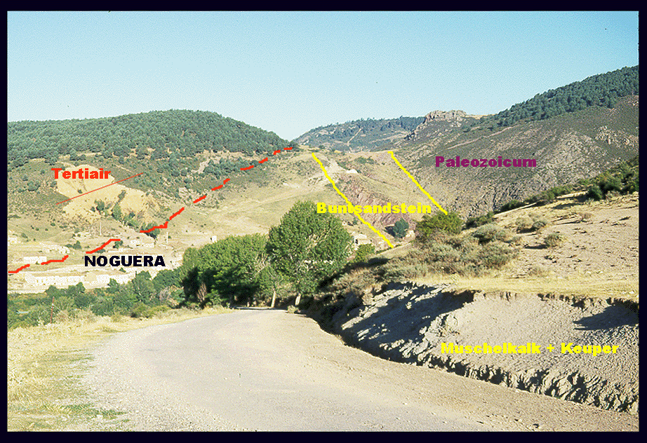noguera-regio78-bewerkt.GIF (430930 bytes)