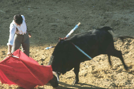 stier77a.bmp (1641654 bytes)