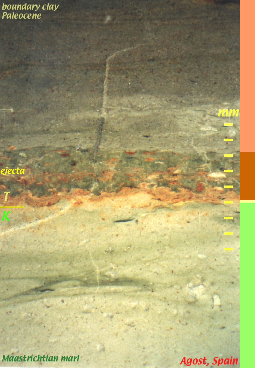 ejecta