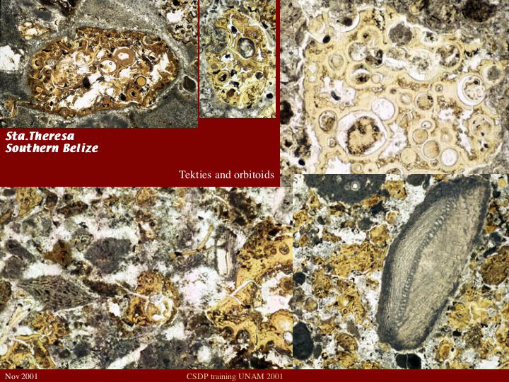 Slide11