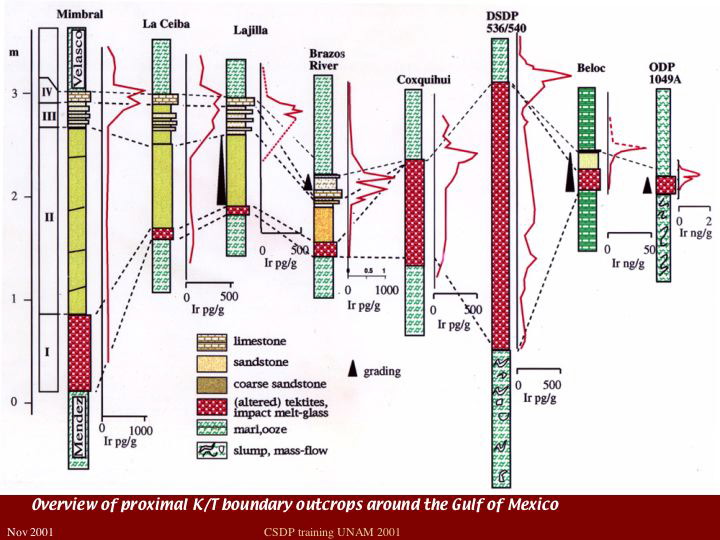 Slide15