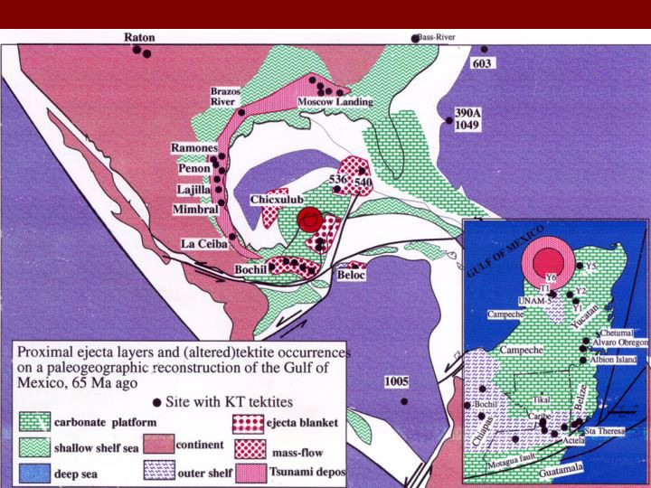 Slide5