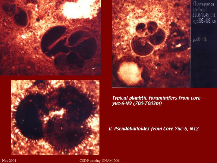 Slide58