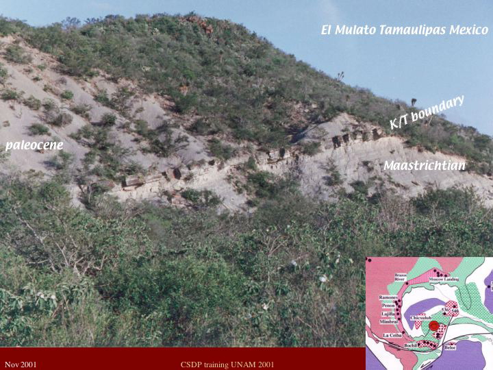 Slide7
