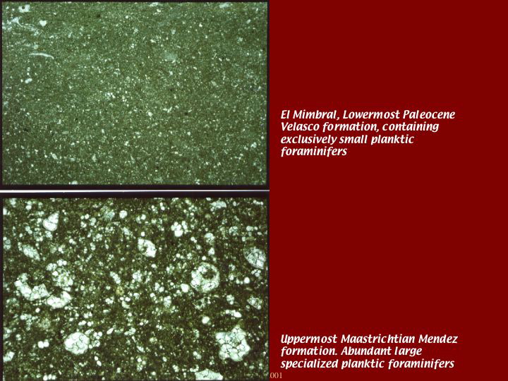 Slide8