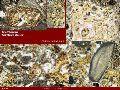Slide11