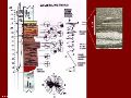 Slide14