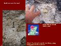 Slide24