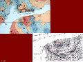 Slide29