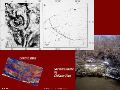 Slide31