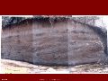 Slide6