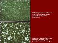 Slide8