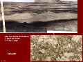 Slide9