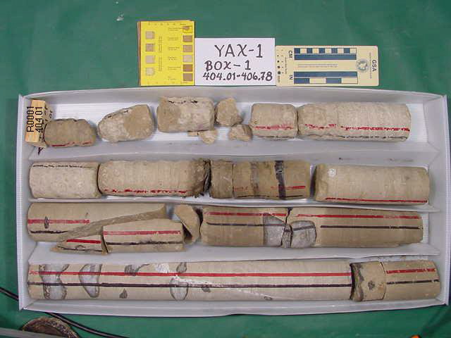 BW_B0001_YAX-1_1