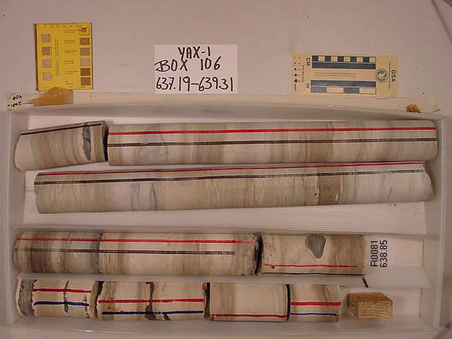 BW_B0106_YAX-1_1