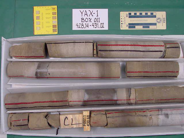 BW_B0011_YAX-1_1