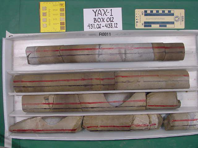 BW_B0012_YAX-1_1