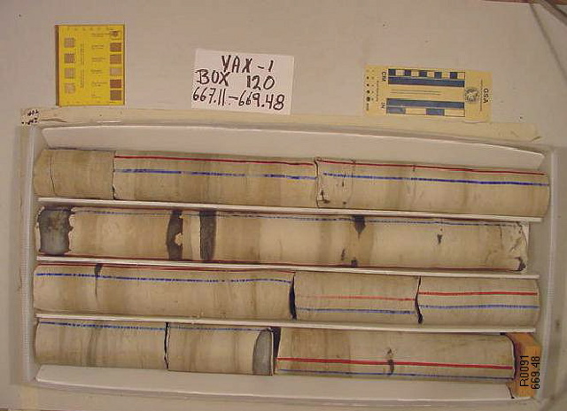 BW_B0120_YAX-1_1