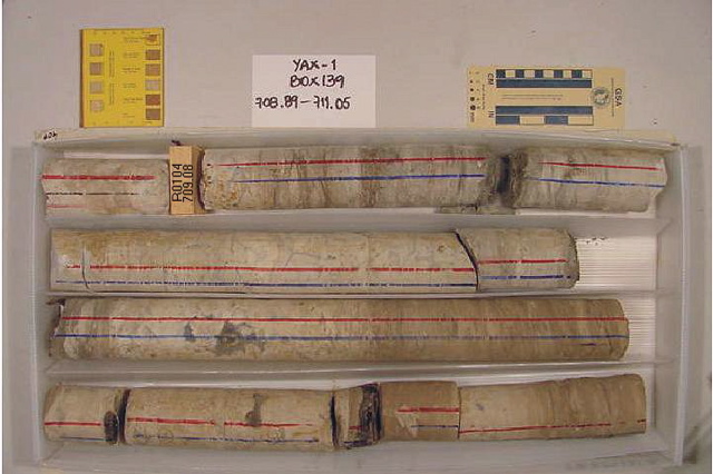 BW_B0139_YAX-1_1