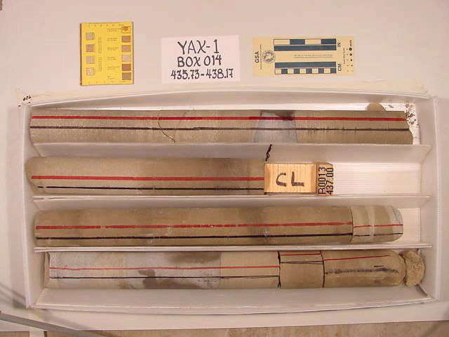 BW_B0014_YAX-1_1