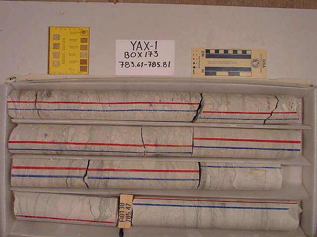 BW_B0173_YAX-1_1
