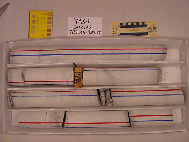 BW_B0175_YAX-1_1