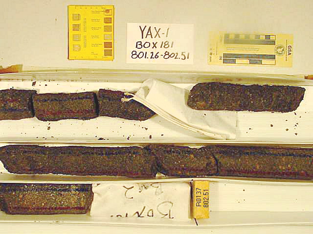 BW_B0181_YAX-1_1