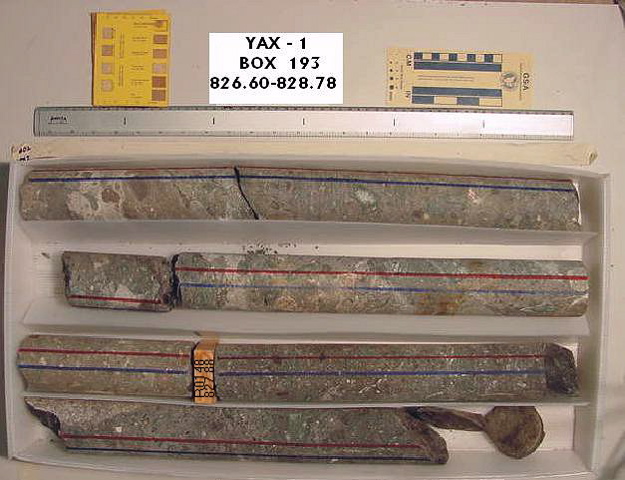 BW_B0193_YAX-1_1