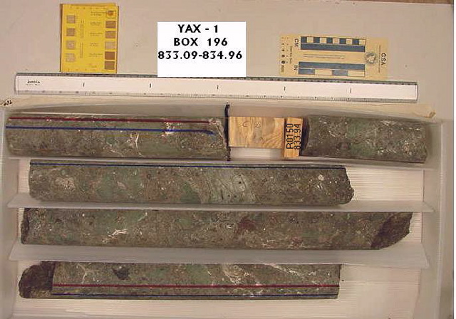 BW_B0196_YAX-1_1