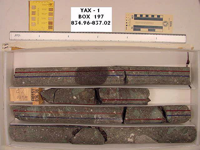 BW_B0197_YAX-1_1