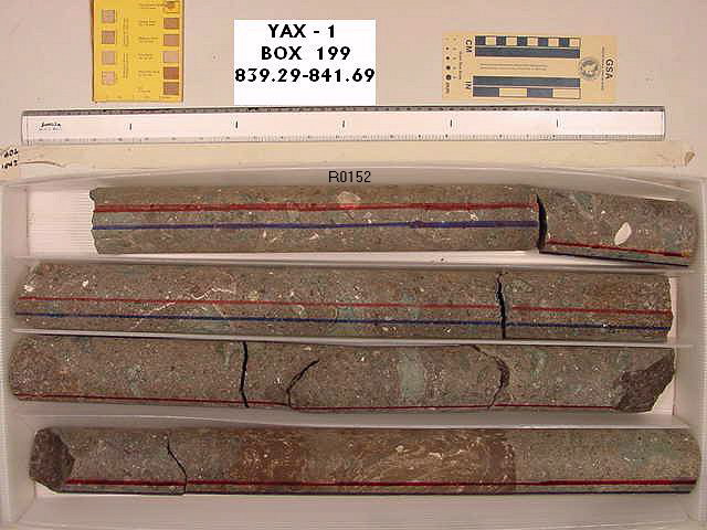 BW_B0199_YAX-1_1