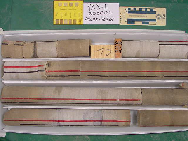 BW_B0002_YAX-1_1