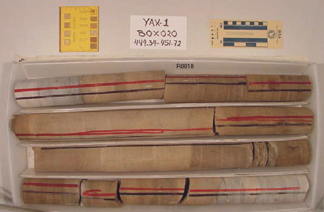 BW_B0020_YAX-1_1