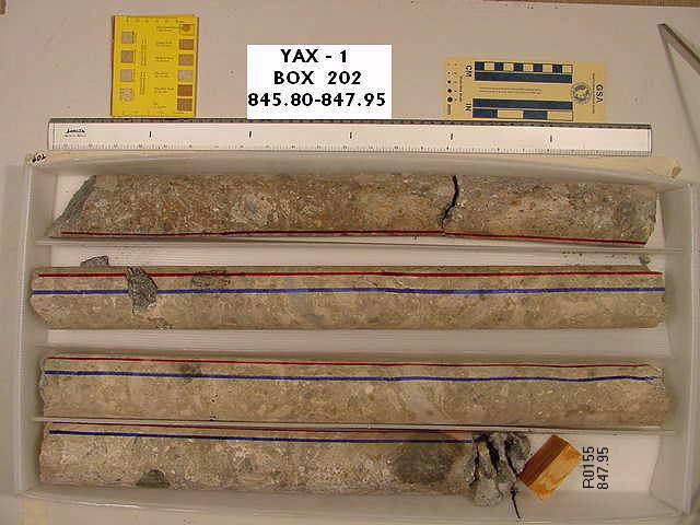 BW_B0202_YAX-1_1