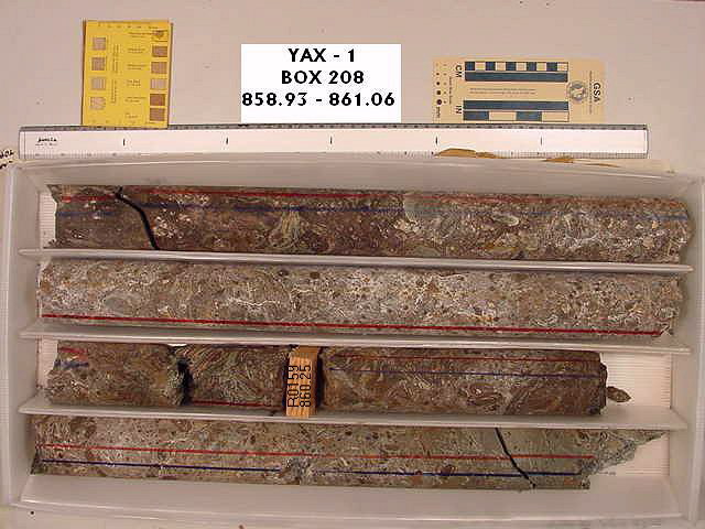 BW_B0208_YAX-1_1