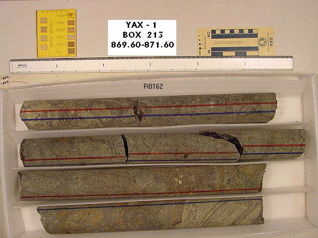 BW_B0213_YAX-1_1