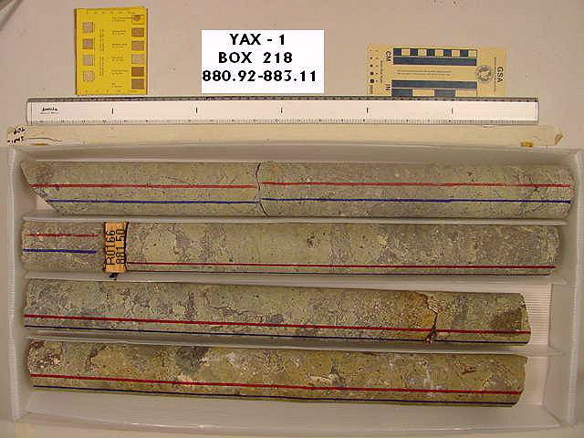 BW_B0218_YAX-1_1