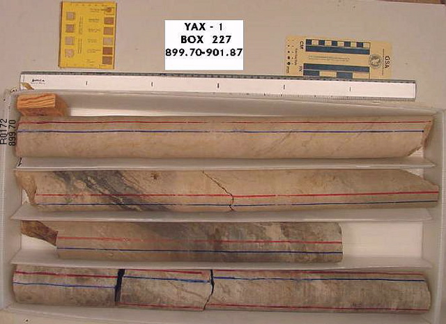 BW_B0227_YAX-1_1