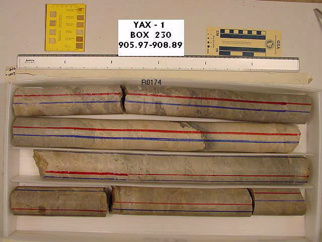 BW_B0230_YAX-1_1